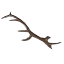 wand stag